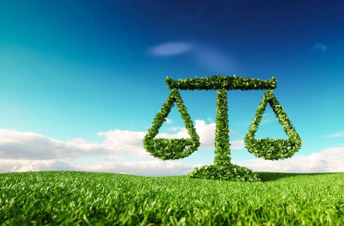 Loi climat et résilience : quels objectifs ?