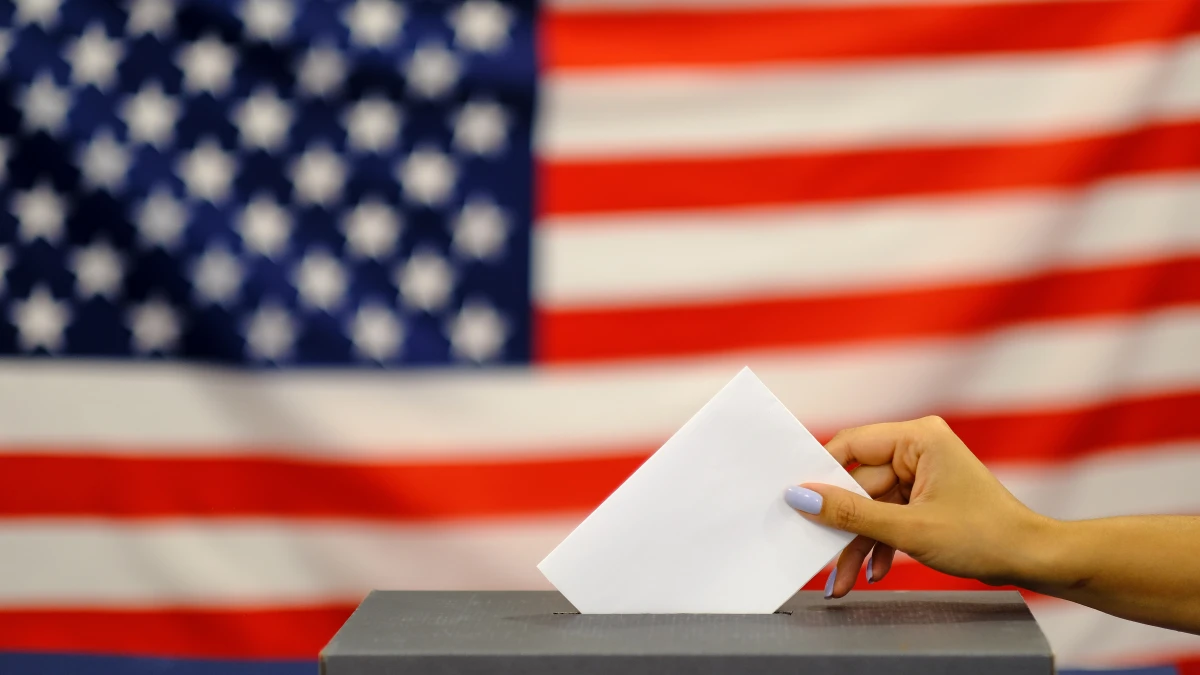 La légalité des plateformes de vote électronique privées : enjeux et perspectives