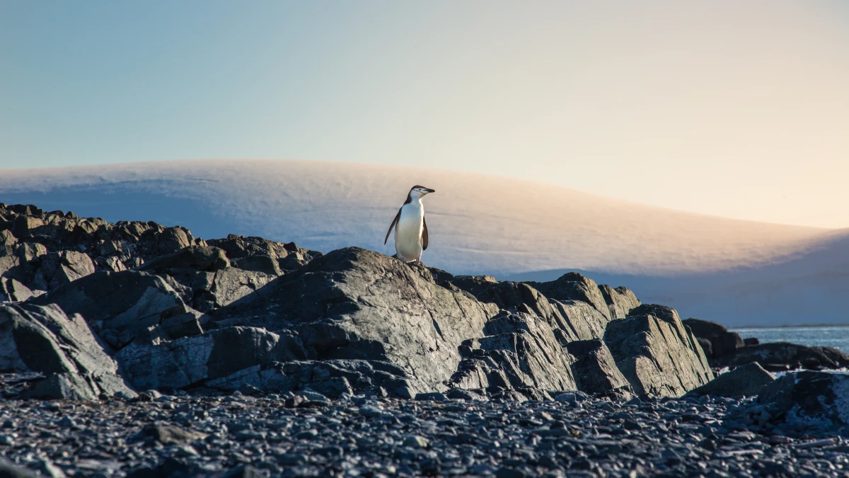 Les enjeux juridiques de l'exploitation des ressources naturelles dans l'Arctique