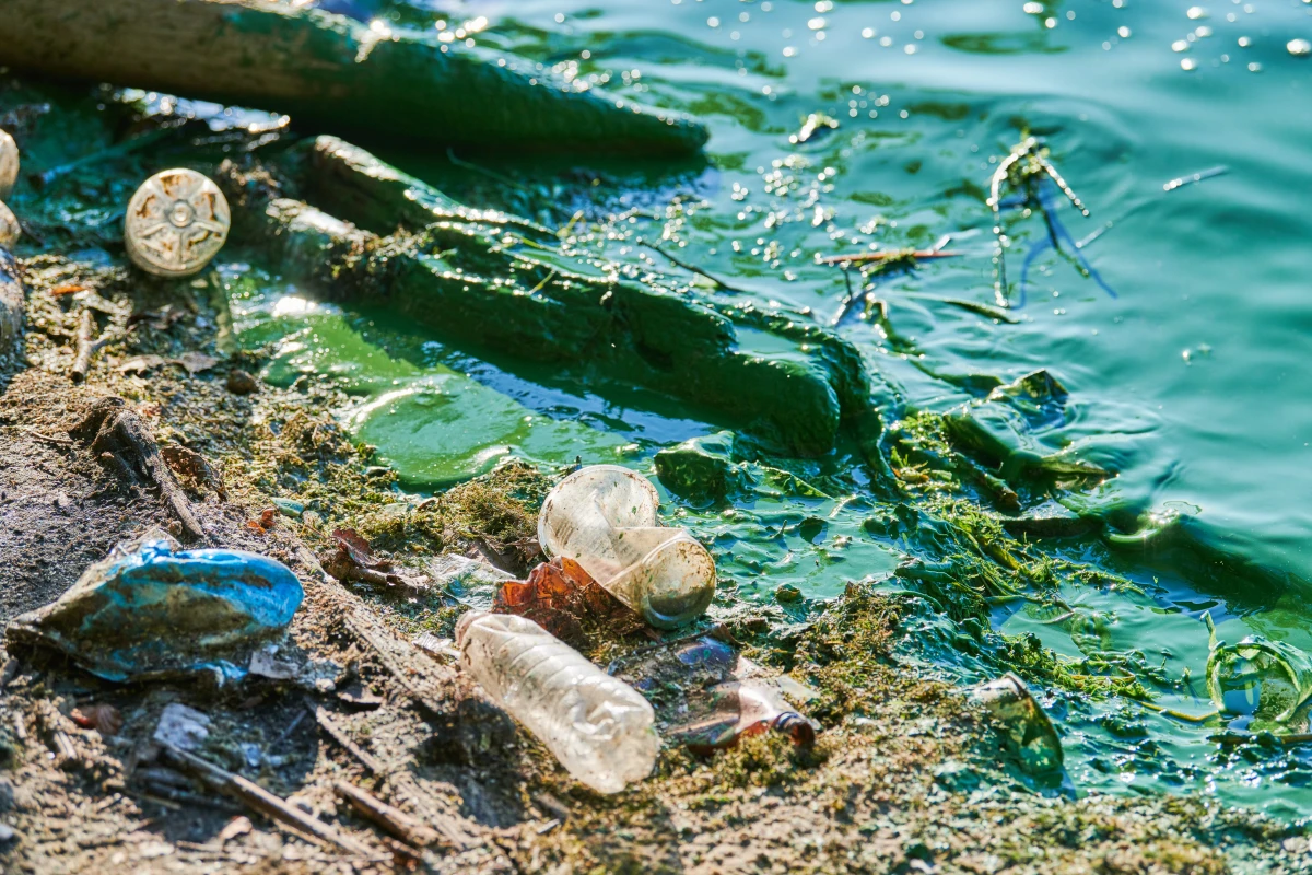 Droits des riverains face aux nuisances industrielles : protéger son cadre de vie